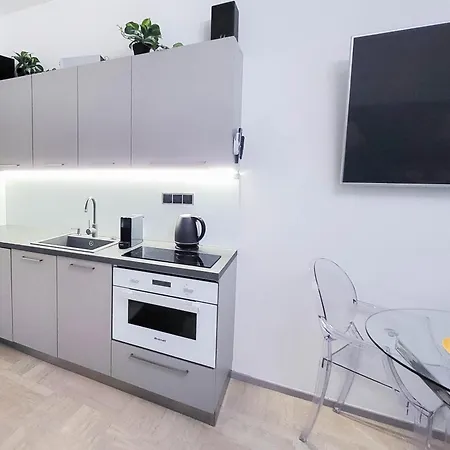 Luxury Near Charles Bridge Apartment Prague